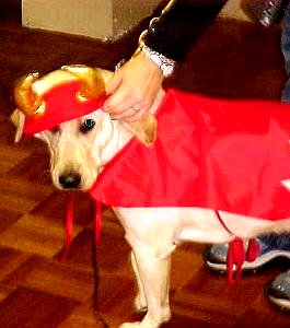 Flora as Devil Dog