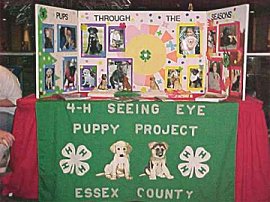Essex County 4H Puppy Project
display at Liberty Science Center
