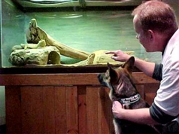 Brian shows Sirius one of the lizards on display