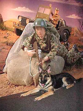 Sirius and G.I. Joe