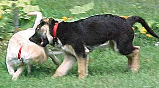 He caught her!