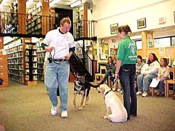 Brian and Sirius walk past Kim and Hila
demonstrating how the pups must learn
to not be distracted
