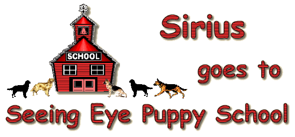 Puppy Sirius goes to
Seeing Eye Puppy School