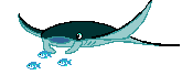 a stingray