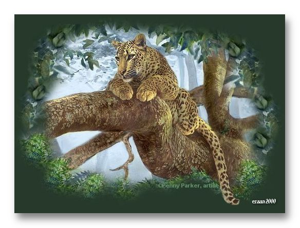 leopardtop2