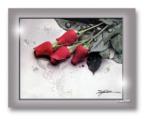 rosestop