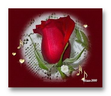 therosetop