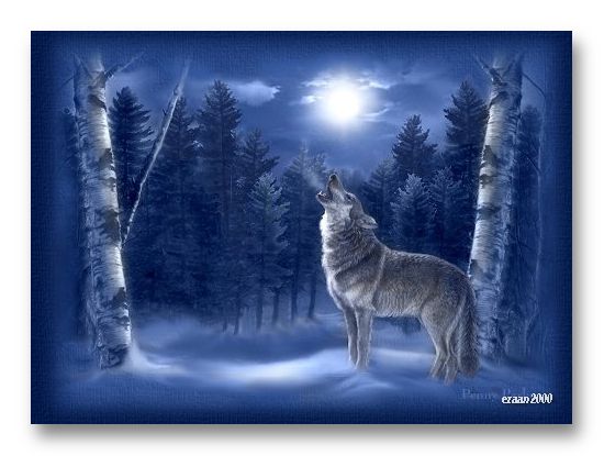 wolfsnowtop2