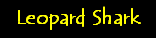 Text Box: Leopard Shark