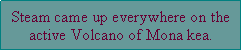 Text Box: Steam came up everywhere on the active Volcano of Mona kea.