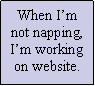 Text Box: When I�m not napping, I�m working on website.