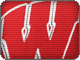 Wisconsin Badgers