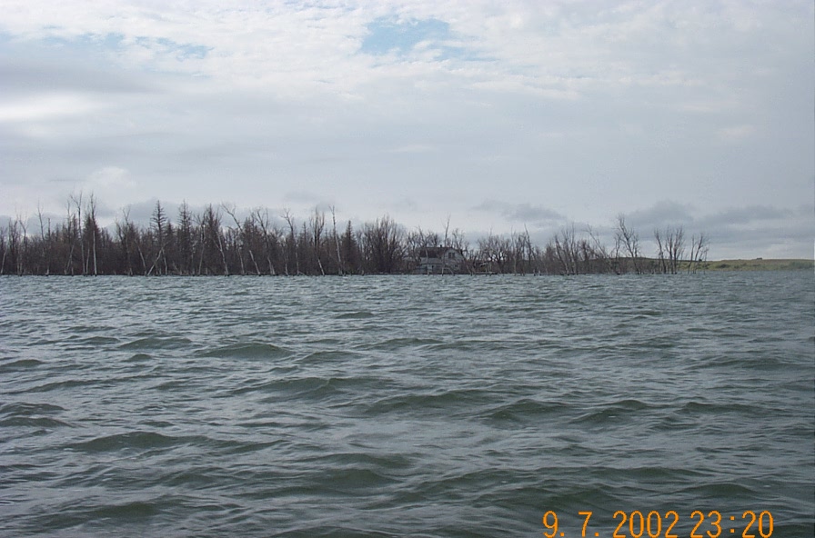 House and trees in the water