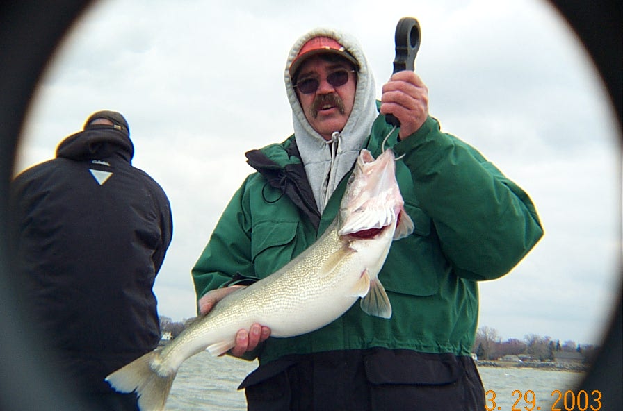 Coiuld this be an 8# male? No spawn belly on this one! Gold Swedish Pimple!