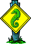 Seahorse Crossing
