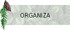 ORGANIZA