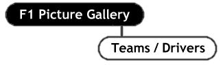 F1 Picture Gallery