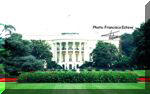 Ir a "Washington"