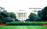 Casa Blanca