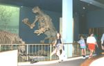 Museo de la Historia