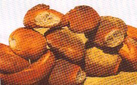 bread