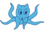 octopus