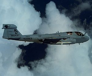 EA-6B 
Prowler