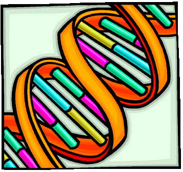 Bioqu&iacute;mica