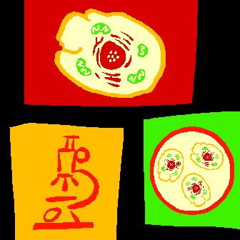 Organelas