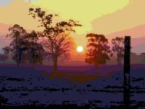 Fotografia salva como Gif