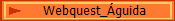 Webquest_�guida