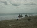 Viaggi