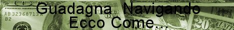 Make Cash on the Net