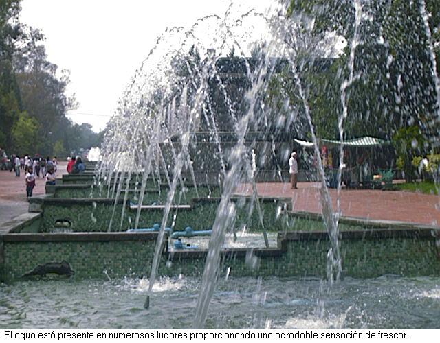 Agua