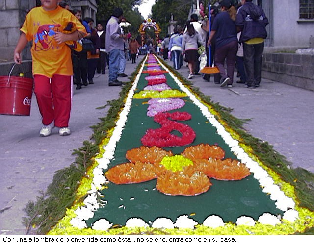Alfombra