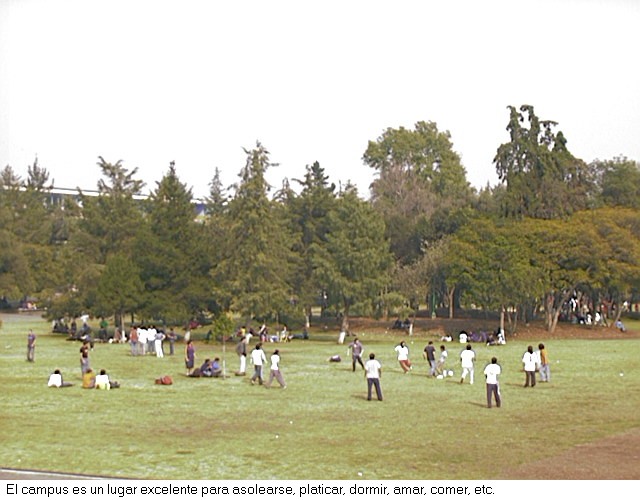 Campus