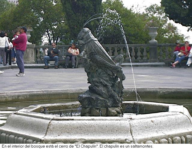 Chapul&iacute;n