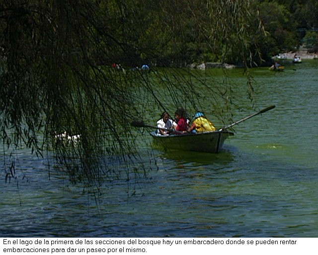 Lago