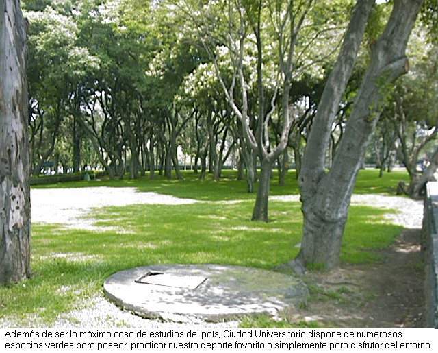 Naturaleza