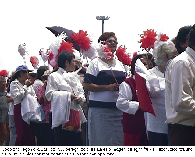 Peregrinaci&oacute;n