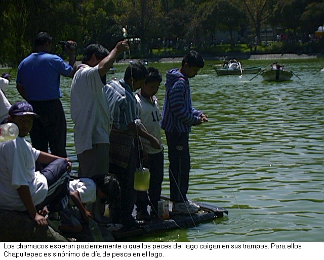 Pesca