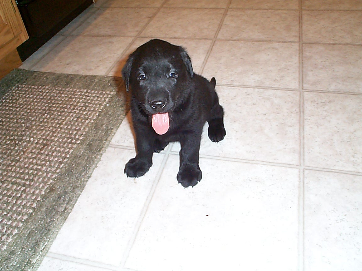 Isn't he cute!