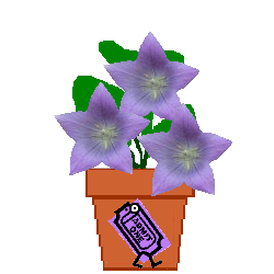 The Site Fights Spirit Flowers