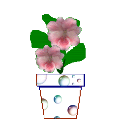 The Site Fights Spirit Flowers