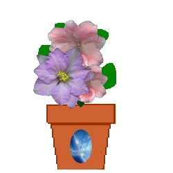 The Site Fights Spirit Flowers