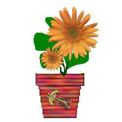 The Site Fights Spirit Flowers