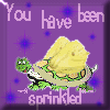 Fairy Turtle