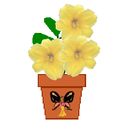 The Site Fights Spirit Flowers