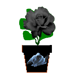 The Site Fights Spirit Flowers