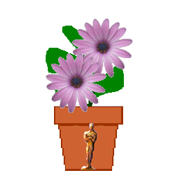 The Site Fights Spirit Flowers